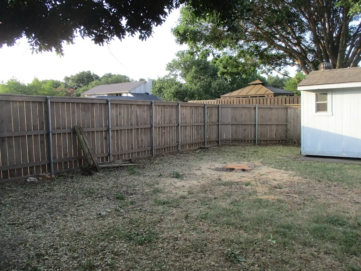 Cleared yard after professional tree removal in Mc Graw