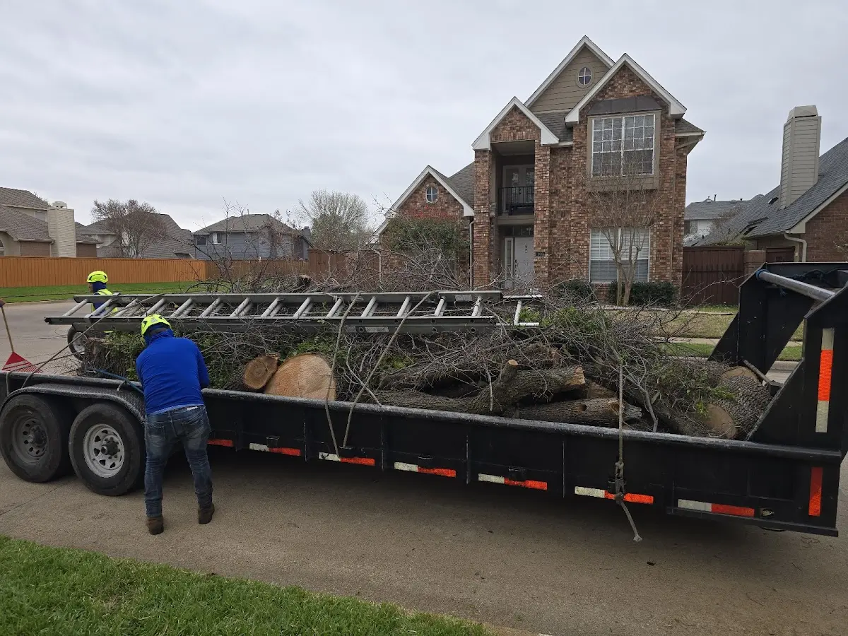 Expert Tree Removal with proper safety equipment in Mc Graw